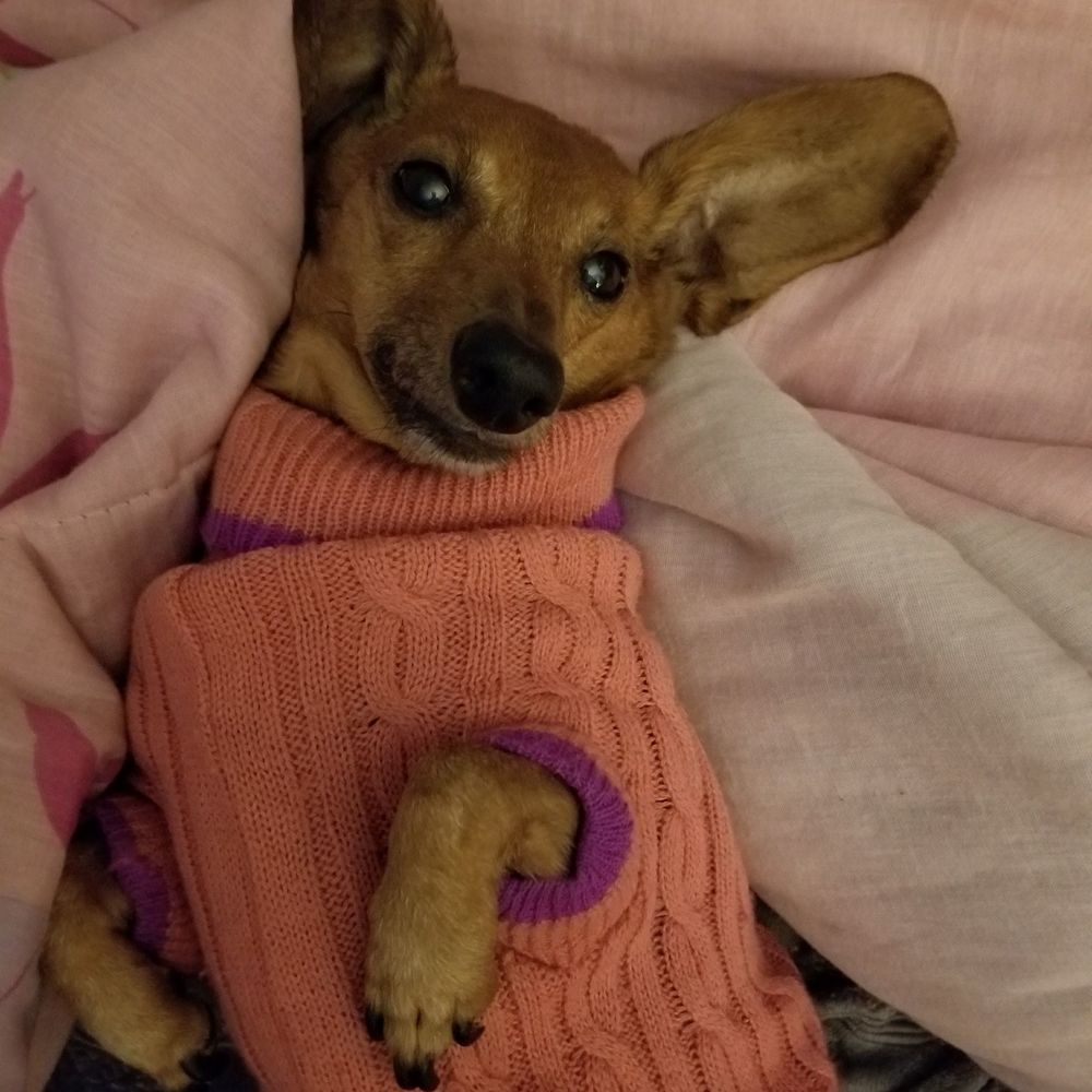 Meet your Posher, Michele